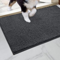 Homeideas Doormat Indoor Entrance 32X20 Highly Absorbent Chenille Muddy Dog Washable Mat Non Slip Front Welcome Door Mat