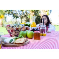 Toptablecloth 8 Feet 30 X 96 Inch Plastic Red And White Checkered Gingham Elastic Tablecloth For Folding Table Cover Fitted Rect