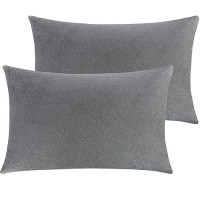 Ntbay 2 Pack Zippered Velvet Queen Pillowcases Super Soft And Cozy Luxury Fuzzy Flannel Pillow Cases With Zipper 20X30 Inches