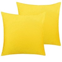 Ntbay Velvet 2 Pack Square Zippered Throw Pillow Covers Super Soft And Luxury Euro Cushion Covers For Sofa Couch 18X18 Inches