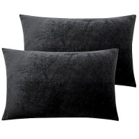 Ntbay 2 Pack Zippered Velvet Queen Pillowcases Super Soft And Cozy Luxury Fuzzy Flannel Pillow Cases With Zipper 20X30 Inches