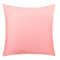 Ntbay Zippered Velvet Square Throw Pillow Cover Super Soft And Luxury Decorative Euro Pillowcase 26X26 Inches Light Pink