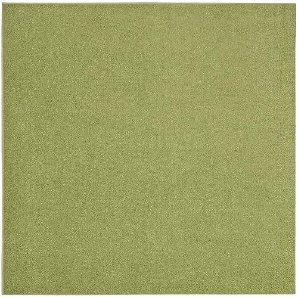 Nourison Essentials Indooroutdoor Green 7 X Square Area Rug Easy Cleaning Non Shedding Bed Room Living Room Dining Room