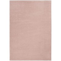 Nourison Essentials Indooroutdoor Pink 4 X 6 Area Rug Easy Cleaning Non Shedding Bed Room Living Room Dining Room Backy