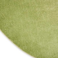 Nourison Essentials Indooroutdoor Green 4 X Round Area Rug Easy Cleaning Non Shedding Bed Room Living Room Dining Room B