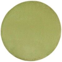 Nourison Essentials Indooroutdoor Green 6 X Round Area Rug Easy Cleaning Non Shedding Bed Room Living Room Dining Room B