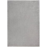 Nourison Essentials Indooroutdoor Silver Grey 5 X 7 Area Rug Easy Cleaning Non Shedding Bed Room Living Room Dining Room