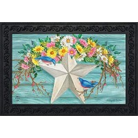 Briarwood Lane Spring Barnstar Doormat Welcome Indoor Outdoor 30 X 18