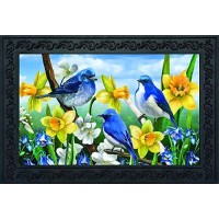 Briarwood Lane Bluebirds And Daffodils Spring Doormat Indoor Outdoor 30 X 18