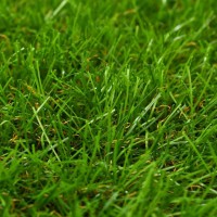 vidaXL Artificial Grass Artificial Turf for Outdoor Artificial Grass Carpet for Lawn Garden Fake Grass Decor 44x32816