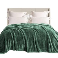 Exclusivo Mezcla Plush Fuzzy Fleece Bed Blanket King Size Super Soft Fluffy And Warm Blankets For Couch Bed All Season Use