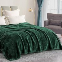 Exclusivo Mezcla Plush Fuzzy Fleece Bed Blanket Queen Size Super Soft Fluffy And Warm Blankets For Couch Bed All Season Use