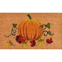 Calloway Mills 121982436 Natures Bounty Doormat 24 X 36