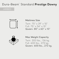 Intex 64109E Durabeam Standard Prestige Air Mattress Fibertech Queen Size 10In Bed Height 600Lb Weight Capacity Pump