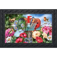 Briarwood Lane Birds And Mailbox Spring Doormat Floral Indoor Outdoor 30 X 18