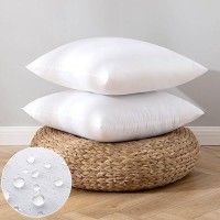 Emema Pack Of 2 Outdoor Pillow Inserts Waterproof Throw Pillow Premium Fluffy Decorative Cushion Square Inner Soft For Patio Fur