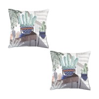 Cotton Pillow (Set Of 2)