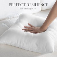 Ashler 16 X 16 Outdoor Pillow Inserts Set Of 2 Water Resistant Throw Pillow Inserts Hypoallergenic Stuffer Sham Square Pillow I