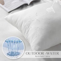 Ashler Outdoor Lumbar Pillows 12 X 20 Outdoor Pillows Summer Pillows Set Of 2 Water Resistant Pillow Inserts Hypoallergenic P