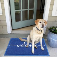 Aazzkang Blue Door Mat 36X24 Outdooor Entrance Large Welcome Doormat With Non Slip Rubber Backing Quickly Absorb Mud Outside