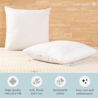 Lane Linen 18 X 18 Throw Pillow Insert Pack Of 2 White Down Alternative Pillow Inserts For Decorative Pillow Covers Throw Pi