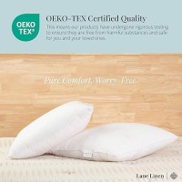 Lane Linen 18 X 18 Throw Pillow Insert Pack Of 2 White Down Alternative Pillow Inserts For Decorative Pillow Covers Throw Pi