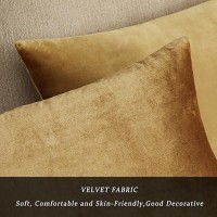 Gigizaza Golden Throw Pillow Covers 16X16 Decorative Velvet Cushion Covers Pack Of 2 Pillowcase For Sofa