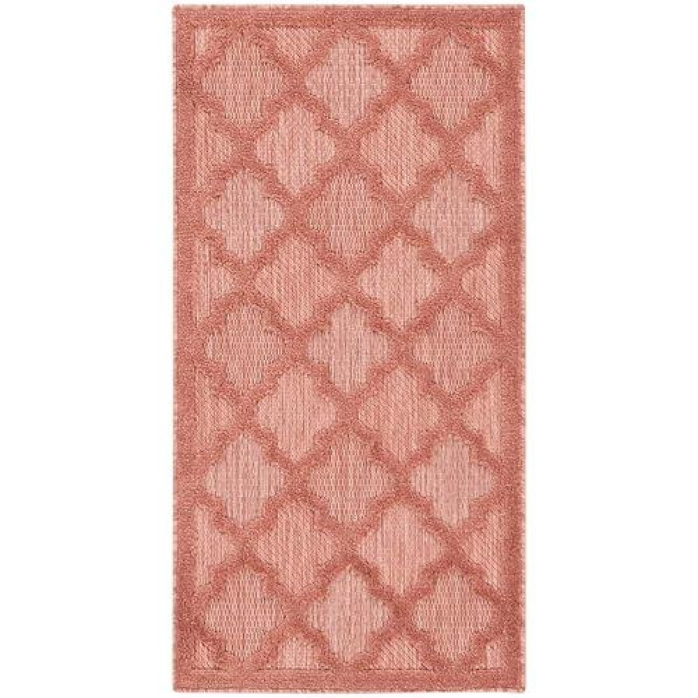 Nourison Easy Care Indooroutdoor Coralorange 2 X 4 Area Rug Easy Cleaning Non Shedding Bed Room Living Room Dining Room