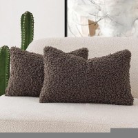 Foindtower Set Of 2 Curly Teddy Wool Pillow Covers Decorative Boucle Textured Lumbar Throw Pillow Faux Fur Pillowcases Sheepskin