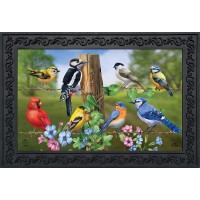 Briarwood Lane Country Birds Spring Doormat Finch Blue Jay Cardinal Indoor Outdoor 30 X 18