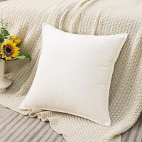 Jiahannha Velvet White Throw Pillow Covers Pack Of 2 Spring Decorative Soft For Couch Sofa Bed Livingroom Office 16 16 Inches