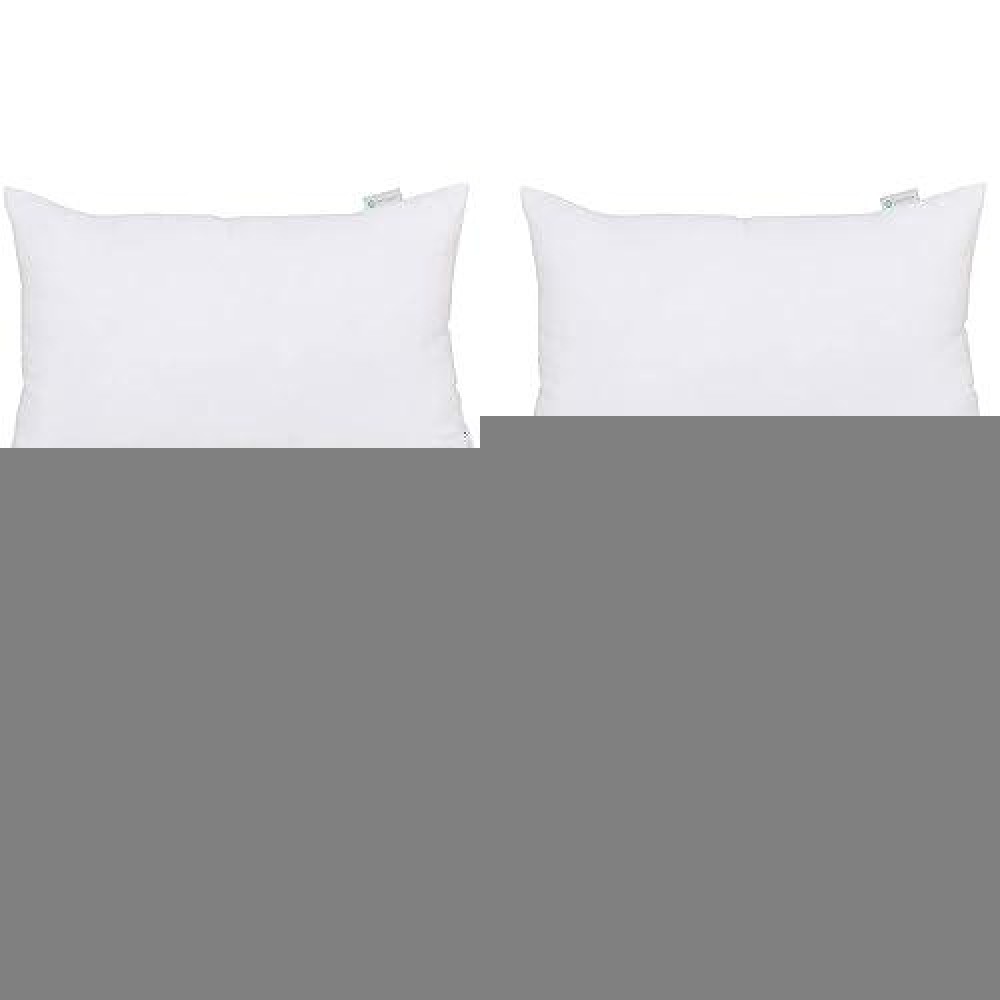 Acanva Throw Pillow Stuffer Inserts Decorative Rectangle Premium Sham Forms Cushion For Sofa Couch Chair 16X26 Inch Pack Of 4