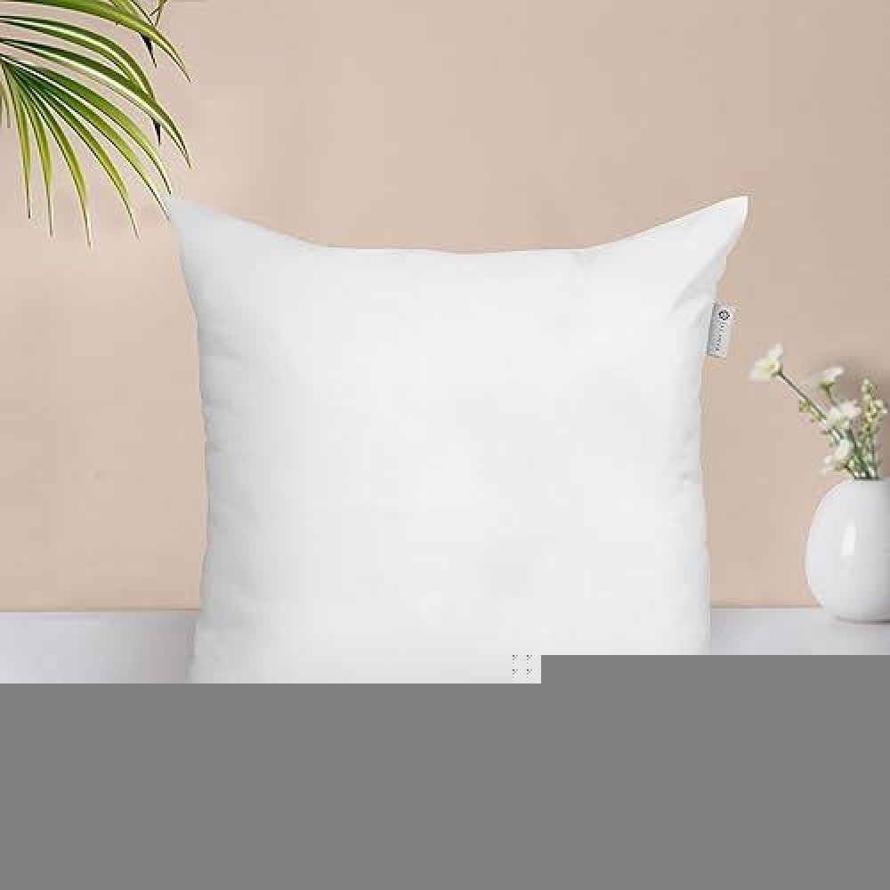 Acanva Throw Pillow Insert Premium Stuffer Sham Square Form For Decorative Cushion Bed Couch Sofa Chair 16X161 Count White