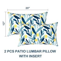 Dytxiii Pack Of 2 Waterproof Outdoor Lumbar Pillow With Inserts Rectangle Decorative Patio Throw Pillow For Home Sofa Bench An