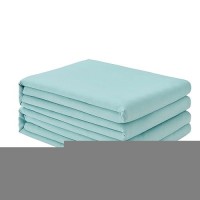 Freshculture Queen Flat Sheets Only 2 Pack - Hotel Quality Flat Bed Sheets - Brushed Microfiber - Ultra Soft & Breathable - Wrinkle-Free - Easy Care - Flat Sheets Only Queen Size (Spa Blue)