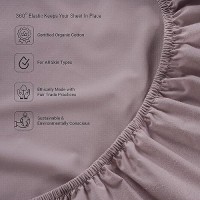 Lane Linen Twin Xl Fitted Sheet 100 Organic Cotton 2Piece Set 1 Fitted Sheet 1 Pillowcase Percale Weave Bottom Sheet So