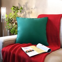 Seren Velvet Decorative Pillow 20 X 20 In Dark Green