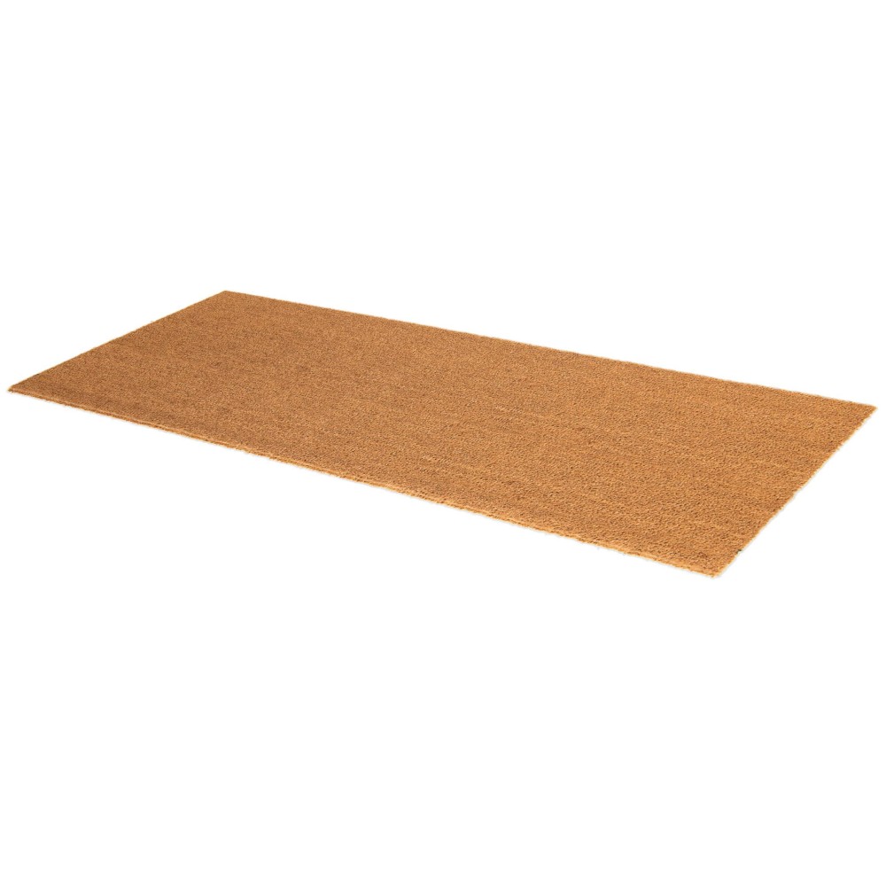 Fab Habitat Modern Non Slip Doormat Durable Thin Natural Coir Rubber Entryway Double Door Porch Patio Minimalist N