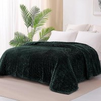 Exclusivo Mezcla Twin Size Soft Fleece Blanket  60X80 Inches 3D Clouds Stylish Jacquard Velvet Blanket For Bed  Cozy Soft Lightweight For All Season  Forest Green Blanket