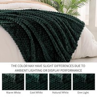 Exclusivo Mezcla Twin Size Soft Fleece Blanket  60X80 Inches 3D Clouds Stylish Jacquard Velvet Blanket For Bed  Cozy Soft Lightweight For All Season  Forest Green Blanket