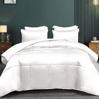 Whale Flotilla 2Piece Reversible Twin Size Silky Soft Comforter Setbedding Set Luxury Satin Comforter With Satin Pillowcase