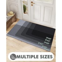 Lumi Large Indoor Door Mat 32X47 Non Slip Rubber Backing Entrance Mat Easy Clean Low Profile Ultra Thin Entryway Mat For I