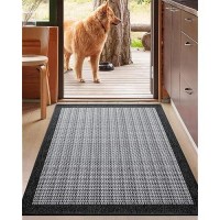 Lumi Premium Silk Blend Door Mat Indoor Entrance Rubber Backing Doormat Non Slip Absorbent Lowprofile Rugs For Entryway Capt