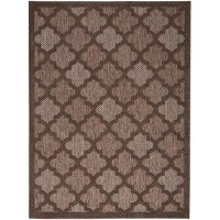 Nourison Easy Care Indoor/Outdoor Brown 5' X 7' Area Rug  Easy Cleaning  Non Shedding  Bed Room  Living Room  Dining Room  Backyard  Deck  Patio (5X7)