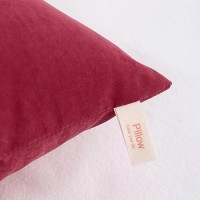 Ntbay Toddler Pillows  Down Alternative 13