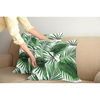 Ambesonne Palm Leaf Pillow Cushion Cover Pack Of 2 Realistic Vivid Leaves Of Palm Tree Growth Ecology Botany Themed Print Deco