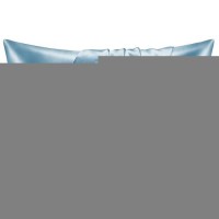 Bedelite Satin Pillowcase With Zipper  Airy Blue King Size Pillow Cases Set Of 2  Super Soft And Cooling Similar To Silk Pillow Cases  Gift For Women Men(20X40 Inches)