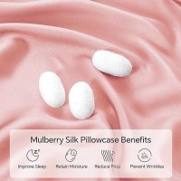 Infiixso Mulberry Silk Pillowcase For Hair And Skin  Silk Pillow Cases Standard Size Set Of 2 With Hidden Zipper 20