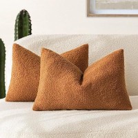 Foindtower Pack Of 2 Curly Faux Fur Lumbar Decorative Throw Pillow Covers Soft Fuzzy Plush Cushion Case Cozy Pillowcase For Liv