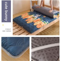 Yxcmd Japanese Folding Tatami Mattress Mat, Single Double Japanese Futon Floor Mattress, Folding Bed Portable Camping Mattress Floor Lounger Sofa Bed (Color : F, Size : 90 * 200Cm)